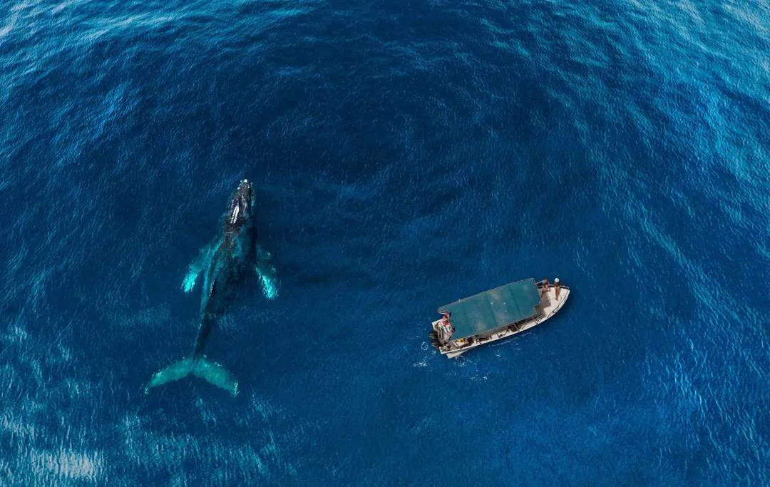 gtloscabos2