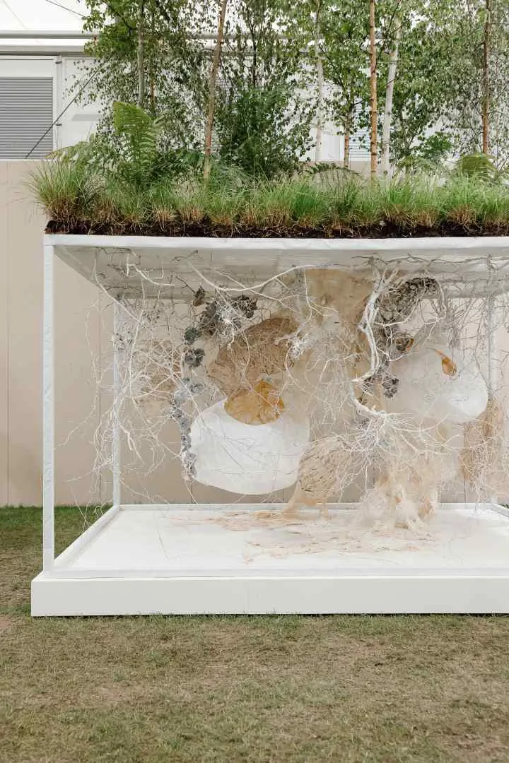 instalacion de wagner kreusch