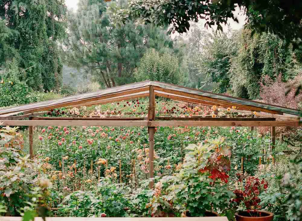 La Musa de las flores