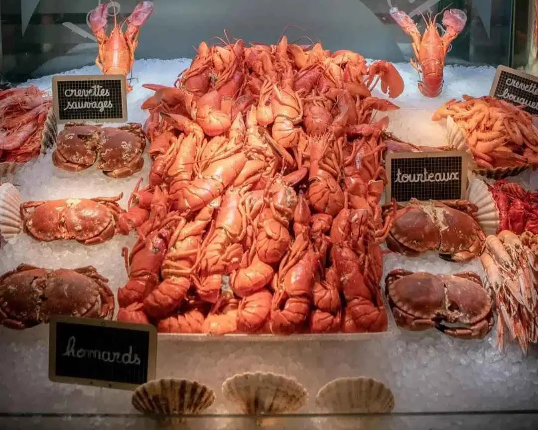 gttourteauxfruitsdemer