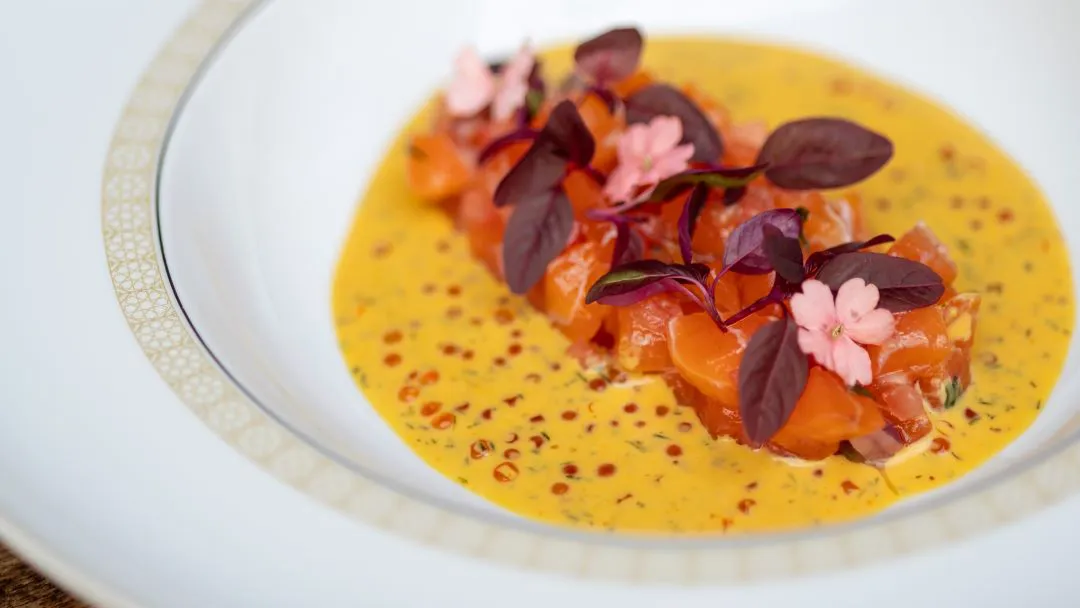 gtelclaustronavidad1