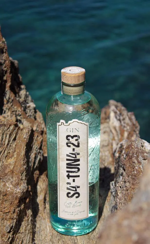 gin1