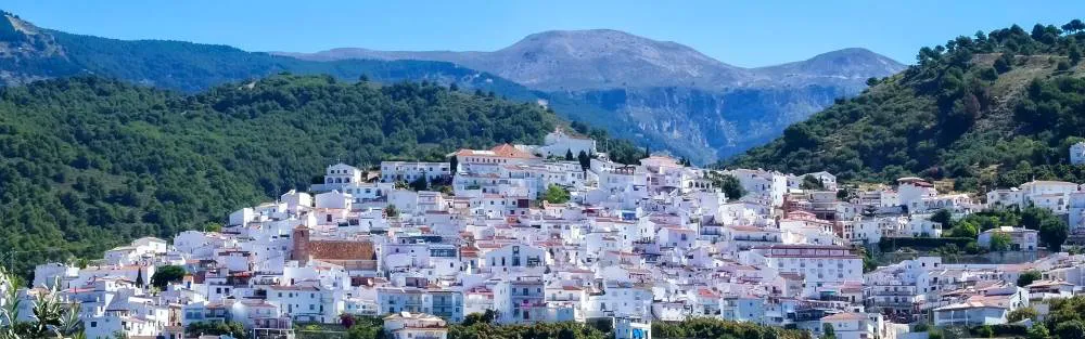 Canillas Albaida 1